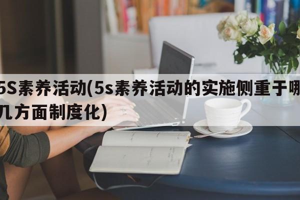 5S素养活动(5s素养活动的实施侧重于哪几方面制度化)